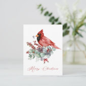 Rode kardinaal, Eucalyptus, Greenery Kerstmis (Staand voorkant)