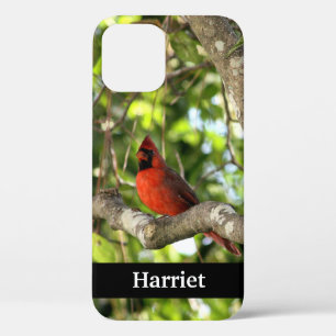 Rode Kardinaal in Boom Persoonlijk iPhone 12 Hoesje