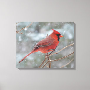 Rode kardinaal in de winter canvas afdruk