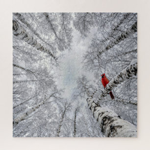 Rode Kardinaal In Een Winterse Witte Berkenbos Legpuzzel