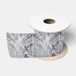 Rode Kardinaal In een Witte Winter Berkebos Lint