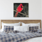Rode kardinaal op een boomtak canvas afdruk (Insitu (Slaapkamer))