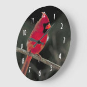 Rode kardinaal op een boomtak grote klok (Hoek)