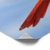 Rode kardinaal op houten stump poster (Hoek)