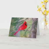 Rode Kardinaal Portret  Kaart (Gele Bloem)