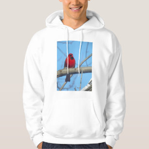 Rode kardinaal/vogel hoodie
