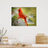 Rode kardinaal vogel in de boom poster (Keuken)