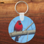 Rode kardinaal/vogel sleutelhanger (Voorkant)