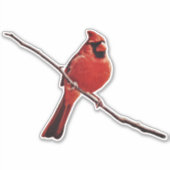 Rode Kardinaal Vogel Zittend op Tak Sticker (Voorkant)