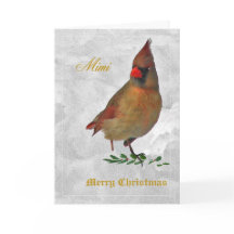 Rode Kardinaal vrouw van voren in sneeuw w holly-t