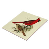  rode kardinaalvogels tegeltje (Zijkant)