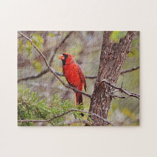 rode kardinale Natuur voor vogels Puzzle Legpuzzel (Horizontaal)