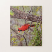 rode kardinale Natuur voor vogels Puzzle Legpuzzel (Verticaal)