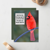 Rode kardinale Nota Kaart Dank u Valentijnse Vogel Notitiekaartje (Voorkant / Achterkant in situ)