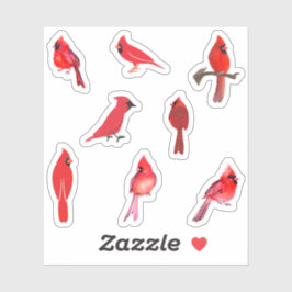 Rode kardinale Stickers
