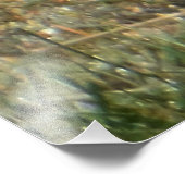 Rode kardinale Titmouse Birds Foto Afdruk (Hoek)