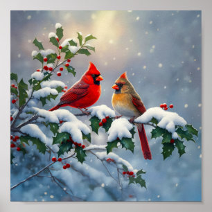 Rode kardinalen en Holly in de sneeuw Poster