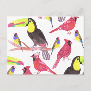 Rode kardinalen, toucans en kieuwvinnen briefkaart