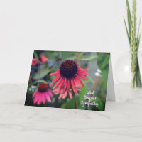 Rode kegel bloeit echinacea met sympathie