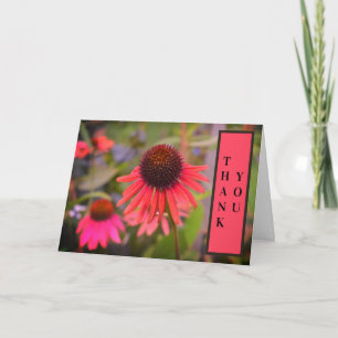 Rode Kegel Bloemen Echinacea Dank Je Bedankkaart