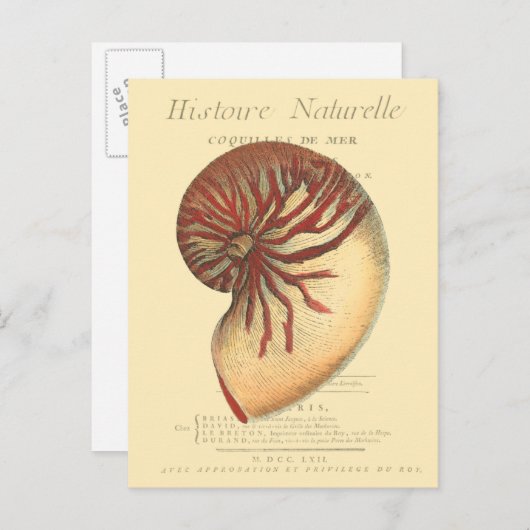 rode kegel Shell Briefkaart (Voorkant / Achterkant)