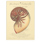 rode kegel Shell Klembord (Achterkant)