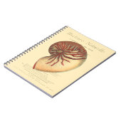  rode kegel Shell Notitieboek (Linkerzijde)