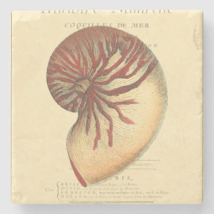 rode kegel Shell Stenen Onderzetter