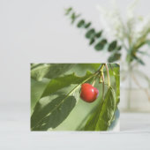 rode kers briefkaart (Staand voorkant)