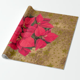 Rode kerstbloem, gouden sterren op abstract papier