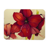 Rode Kerstmis Amaryllis Foto Magneet (Horizontaal)