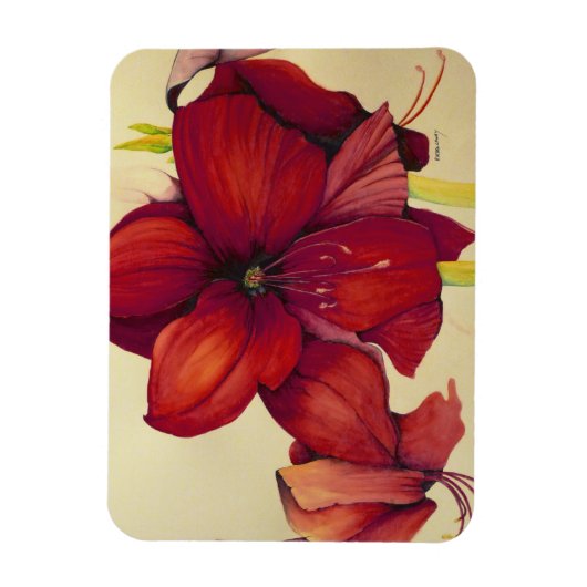 Rode Kerstmis Amaryllis Foto Magneet (Verticaal)