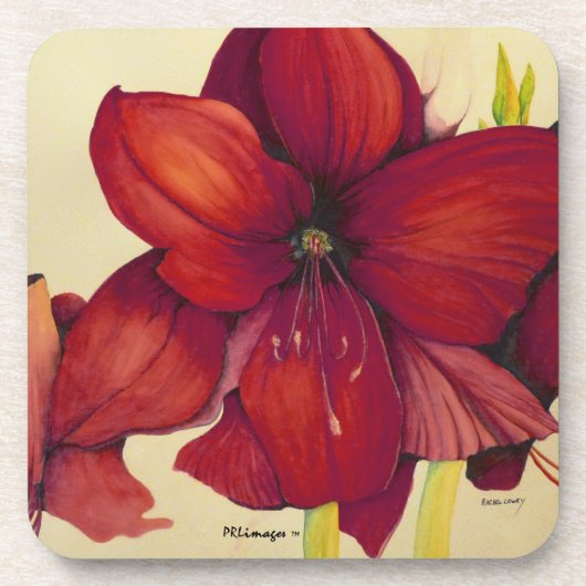 Rode Kerstmis Amaryllis Plastic Onderzetter set (Voorkant)