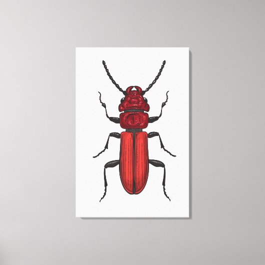 Rode kever canvas afdruk (Voorkant)