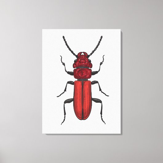 Rode kever canvas afdruk (Voorkant)