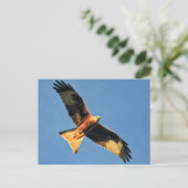 Rode kietenvogel van Prey Briefkaart (Staand voorkant)