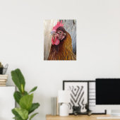 Rode Kip Hen Foto Poster (Thuiskantoor)