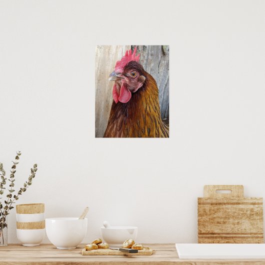 Rode Kip Hen Foto Poster (Keuken)