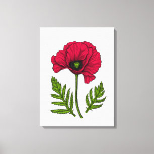 Rode klaproos tekening 3 canvas afdruk