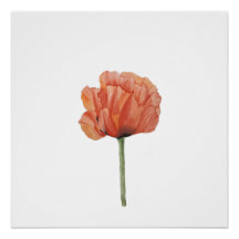 Rode Klaproos Watercolor Botanische Print
