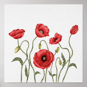 Rode Klaproos Wilde Bloem Botanisch Aquarel Poster