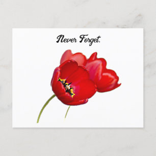 Rode Klaprozen Herdenkingsdag Nooit Vergeten Kunst Briefkaart