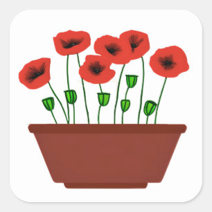 Rode klaprozen in een terracotta plantenbak vierkante sticker