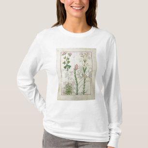 Rode klaver en Aube Bellidis Onobrychis en Hyssopu T-shirt