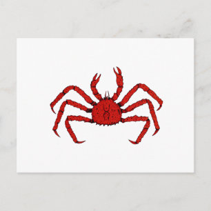 Rode koning krab (kleurenafbeelding) briefkaart
