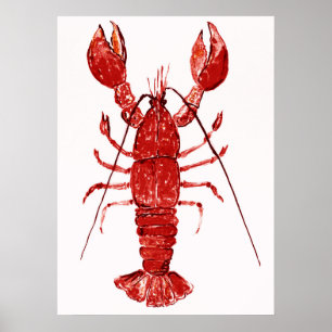Rode kreeft schilderij poster