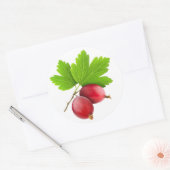 Rode kruisbessen ronde sticker (Envelop)