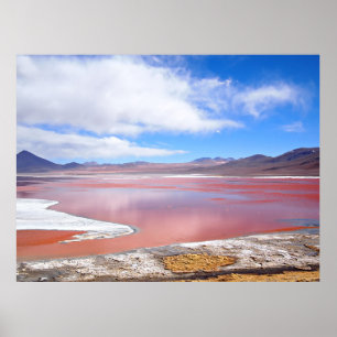 Rode lagune, Laguna Colorada in het poster van Bol