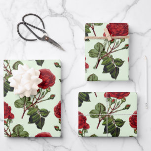 Rode Lange Stampatroon Roos Mint Groene Achtergron Inpakpapier Vel
