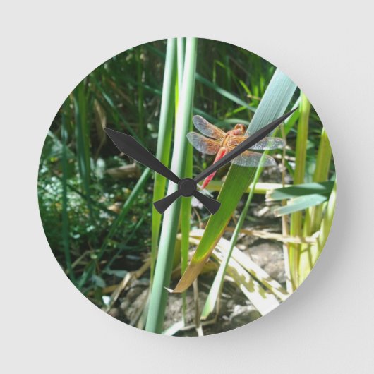 Rode Libel die zich op een Blad vastklampen Ronde Klok (Voorkant)